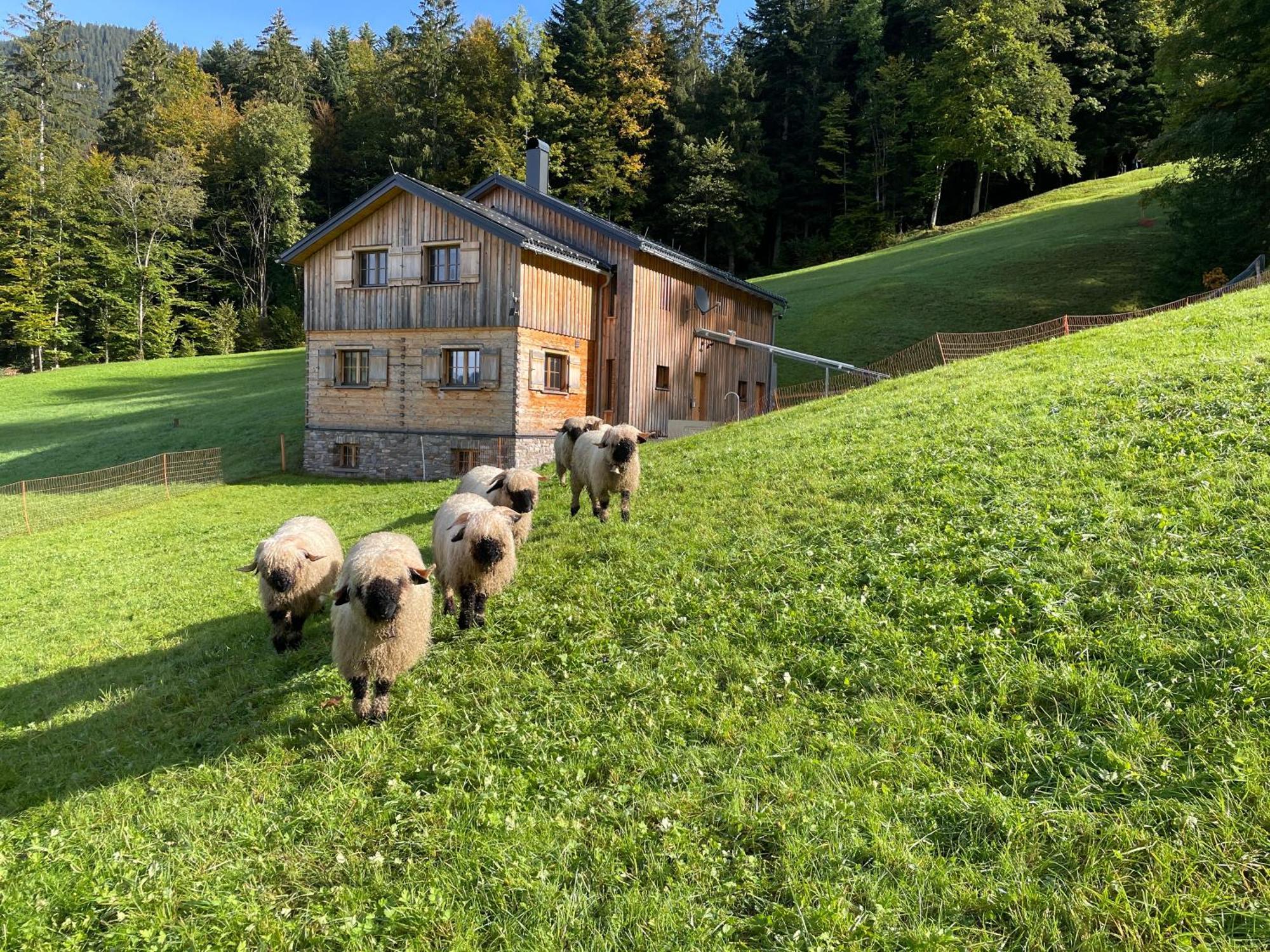 Hirschberghuette Villa Bizau Exterior foto